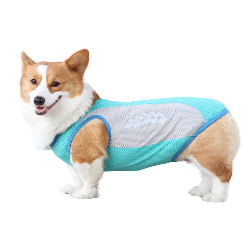 Corgi wearing Río Vest cooling vest in teal outdoors