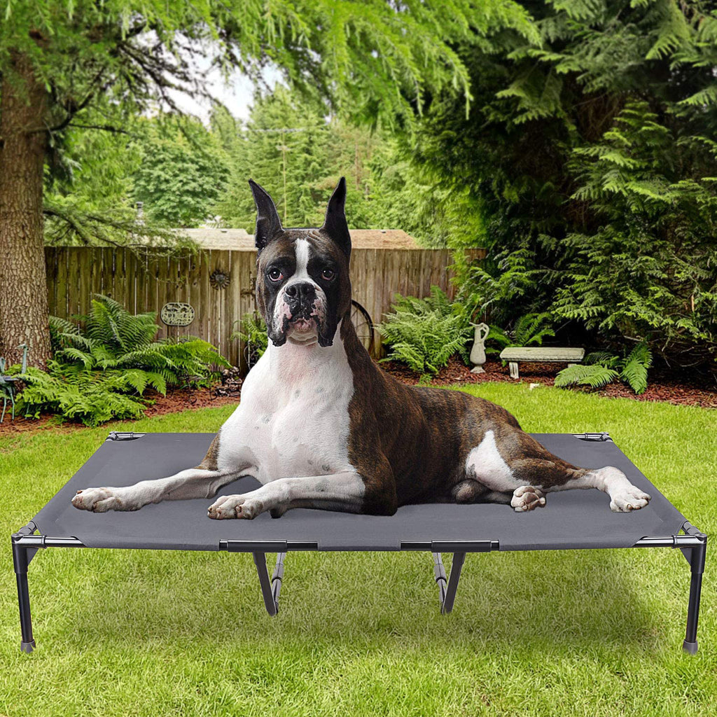 Boxer dog resting on Mesa Cot elevated dog bed outdoors