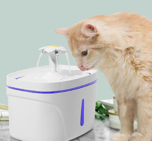 Arroyo filtered pet water fountain with circulating water stream